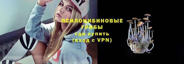 ALPHA-PVP Алексин