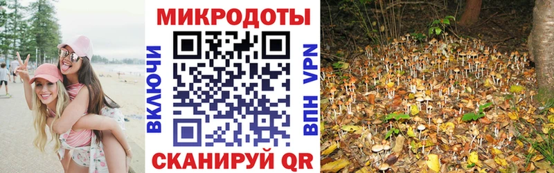 Галлюциногенные грибы GOLDEN TEACHER  что такое   Усинск 